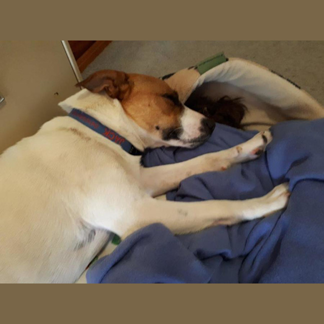 Photo of Jackson Moriarty