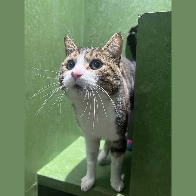 Photo of Alvin
