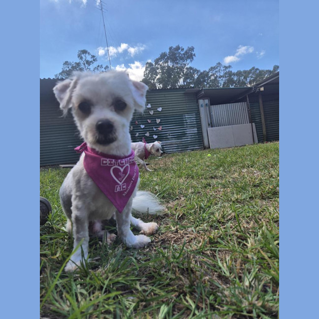Photo of Murphy