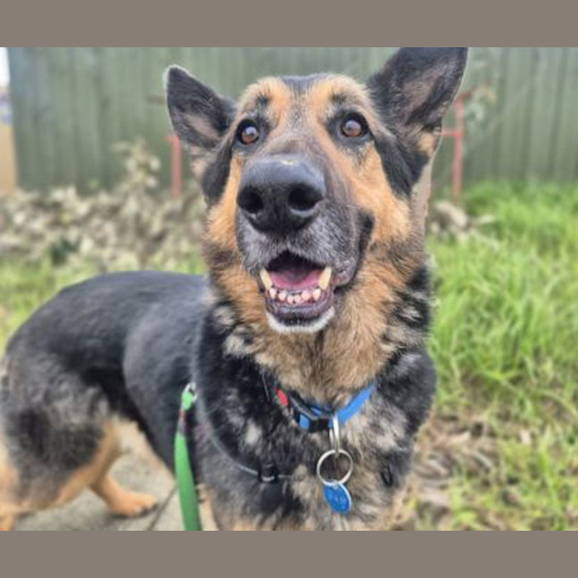 Photo of Hunter