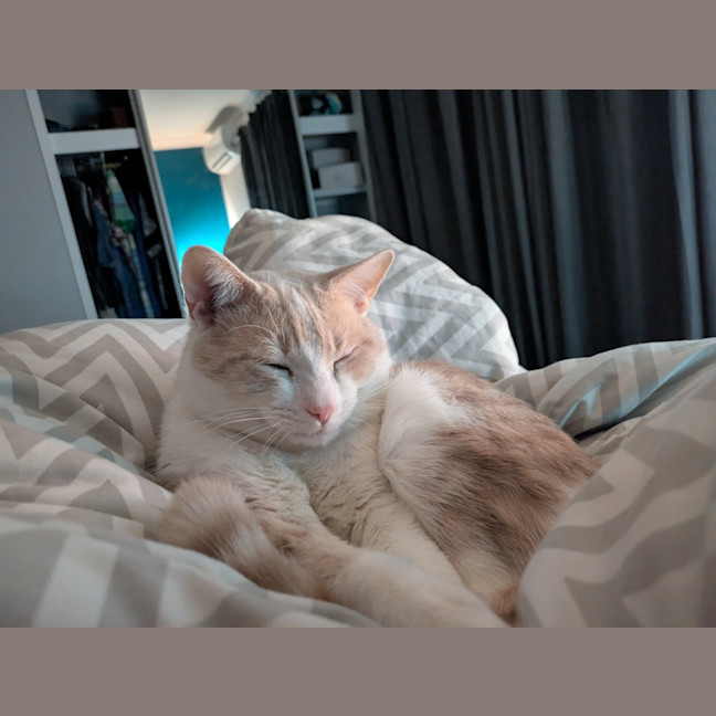 Photo of Lucy