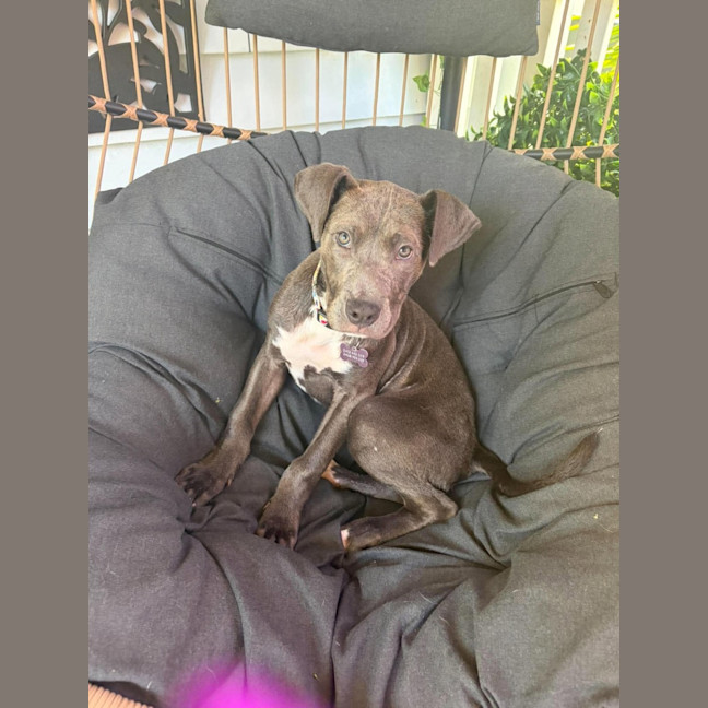 Photo of Buffy