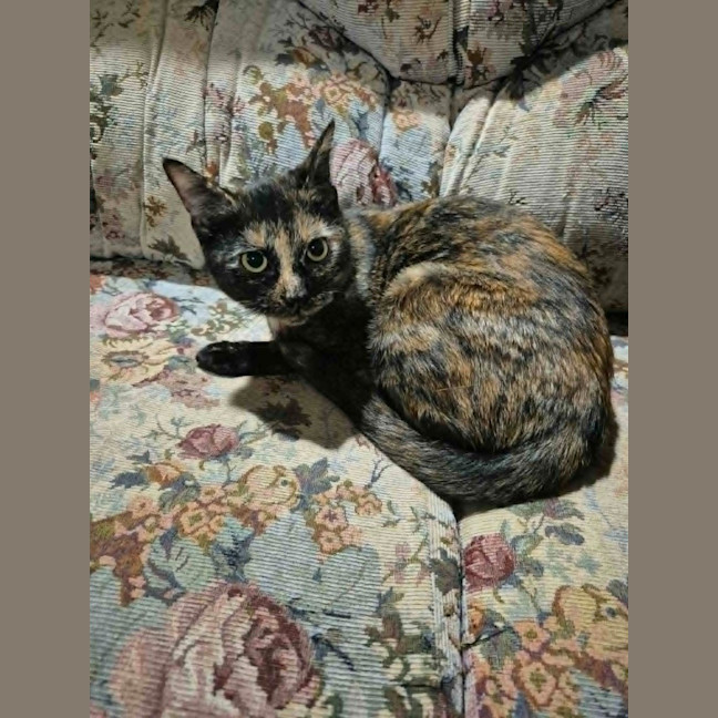 Photo of Sabrina