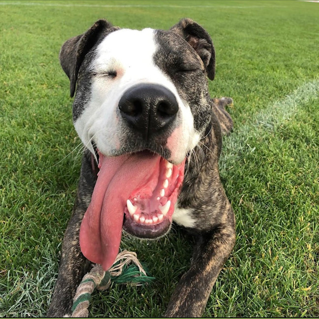 Photo of Oliver