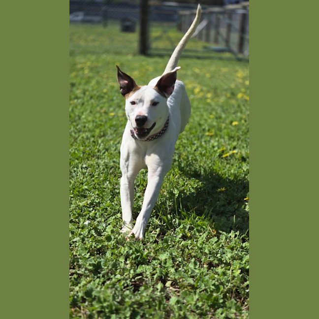 Photo of Jasmine