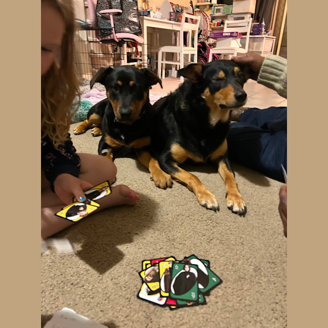 Photo of Louie