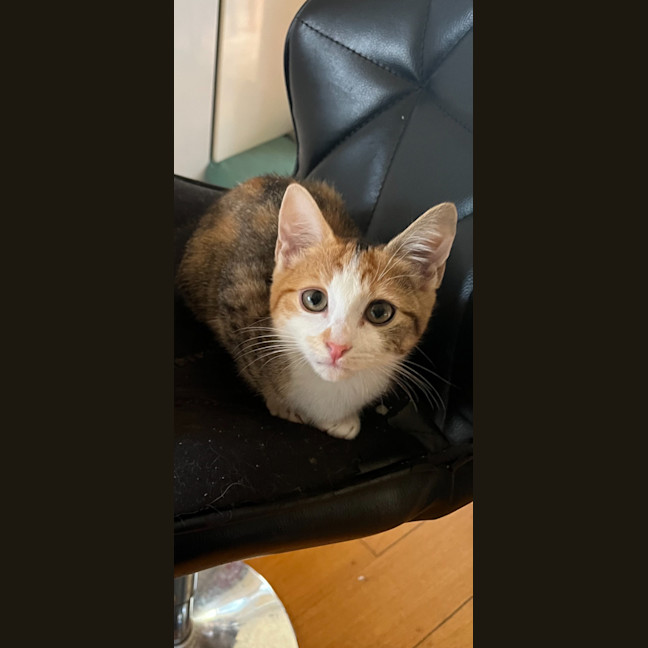 Photo of Lottie & Cindy 🌺🌺