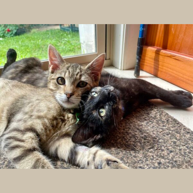 Photo of Malak And Ishmael