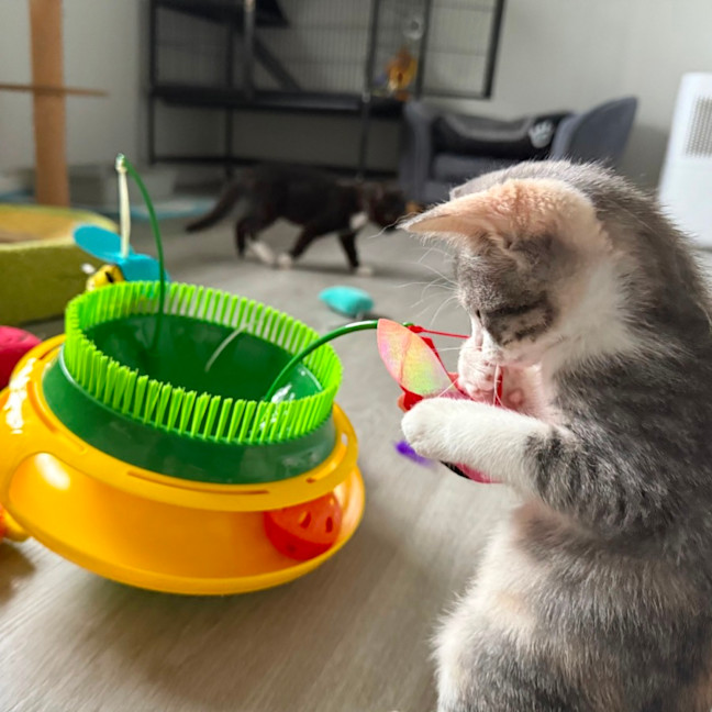 Photo of Georgia 🍒