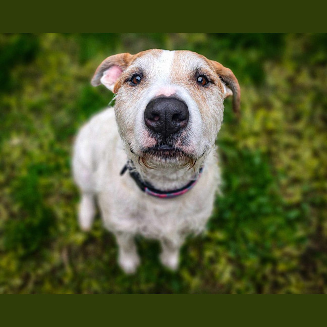 Photo of Bella