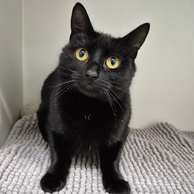 Photo of Sailor