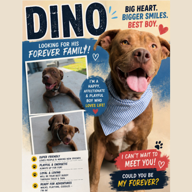 Photo of Dino