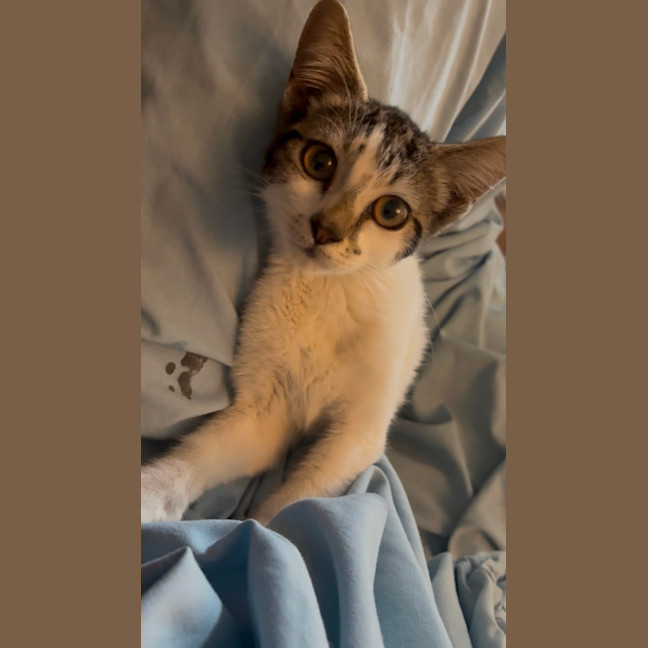 Photo of Polly