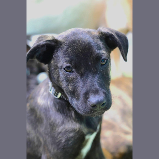 Photo of Clementine
