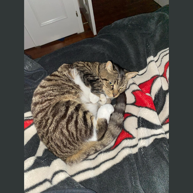 Photo of Chester   Located In Richmond