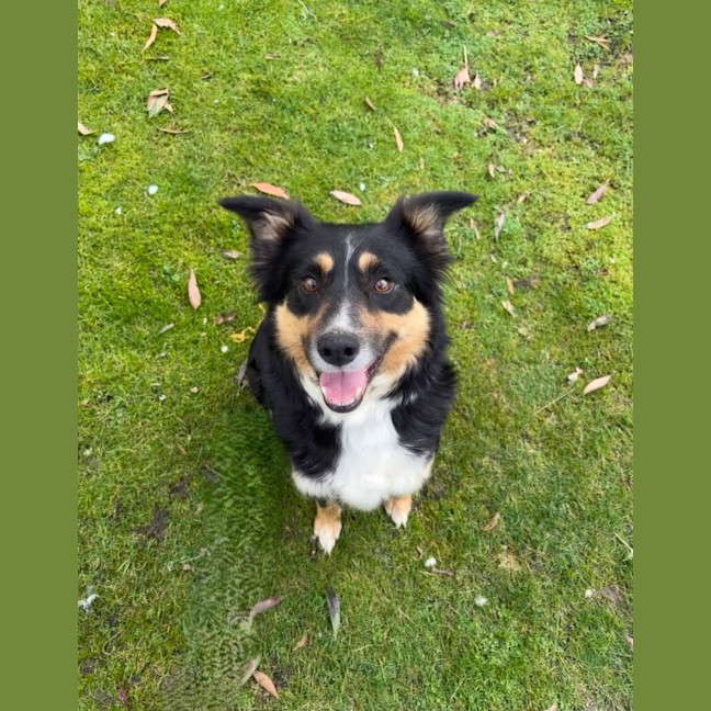 Photo of Ruby