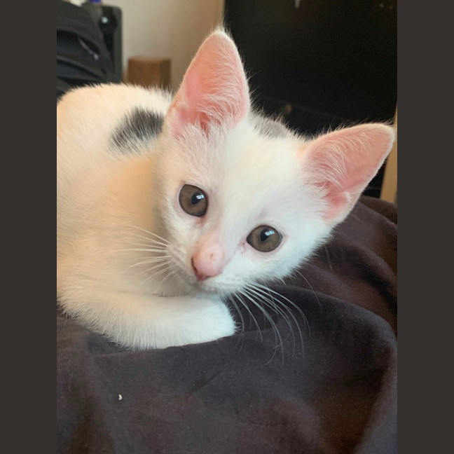 Photo of Asha 