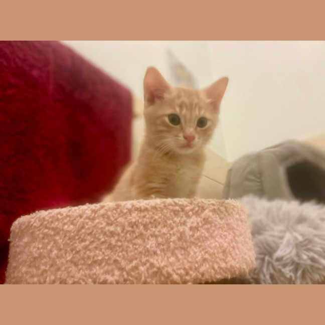 Photo of Stoic