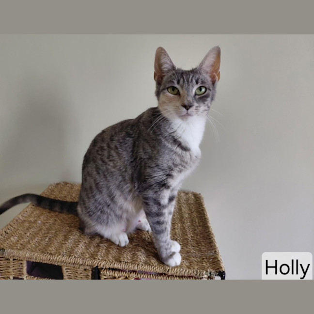 Photo of Holly