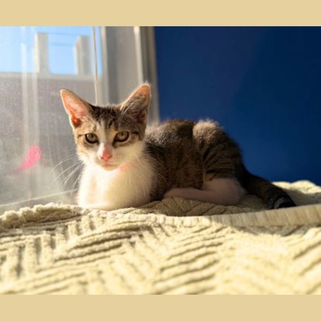 Photo of Athena