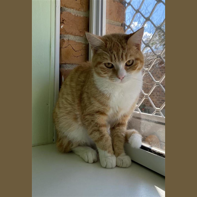 Photo of Thelma