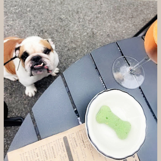 Photo of 👅Gordito👅