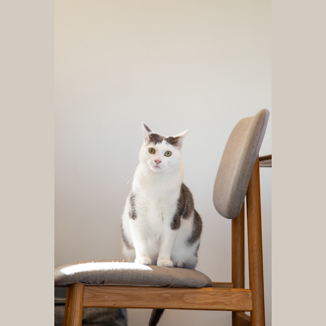 Photo of Clyde