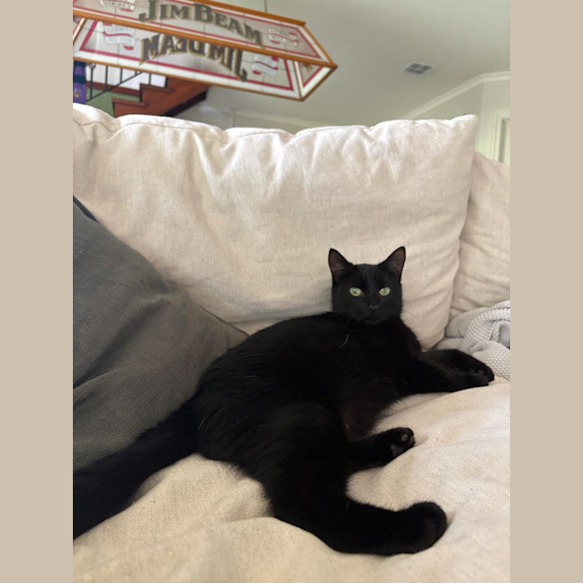 Photo of Cleo