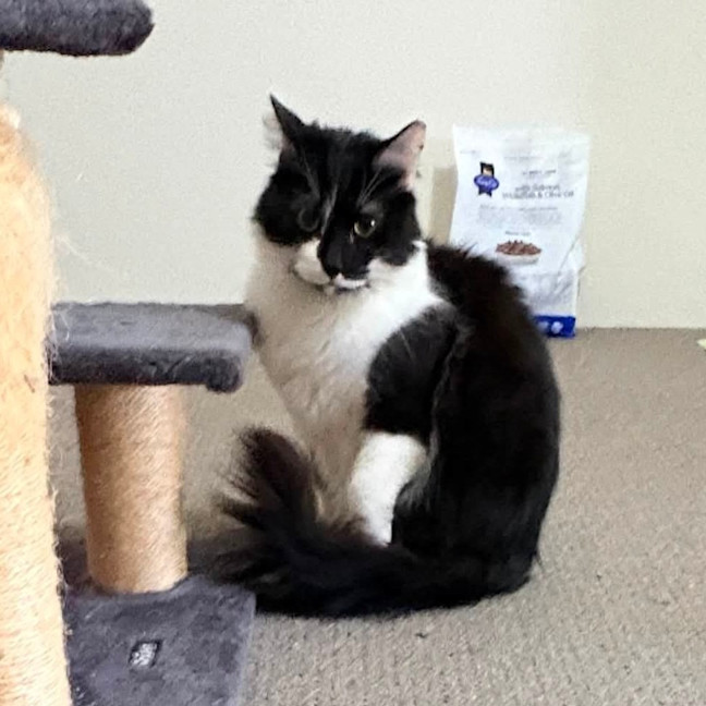 Photo of Ace