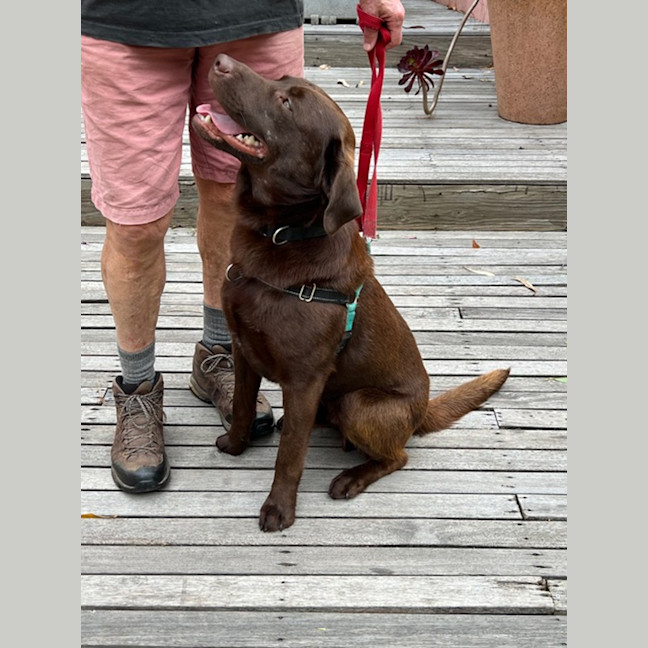 Photo of Max