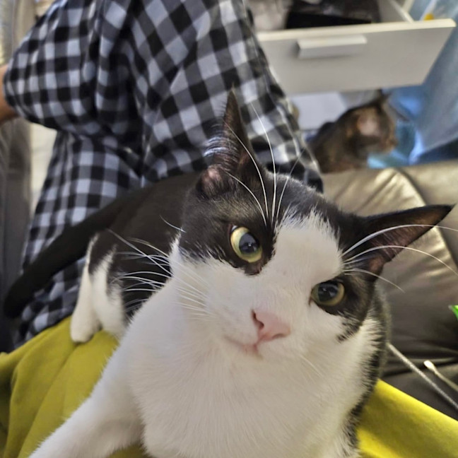 Photo of Oliver