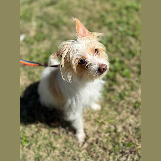 Photo of Bert (9003)