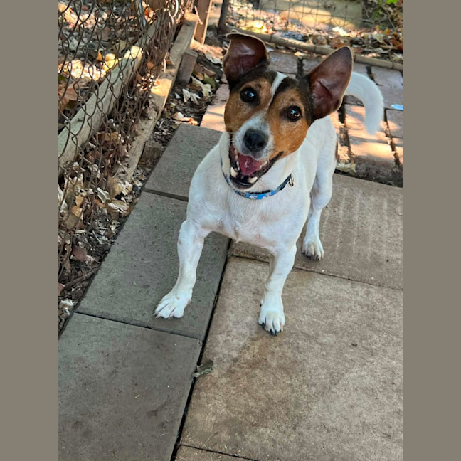 Photo of Jack
