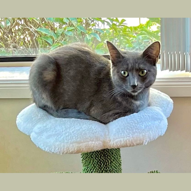 Photo of 💟 Silvee 💟