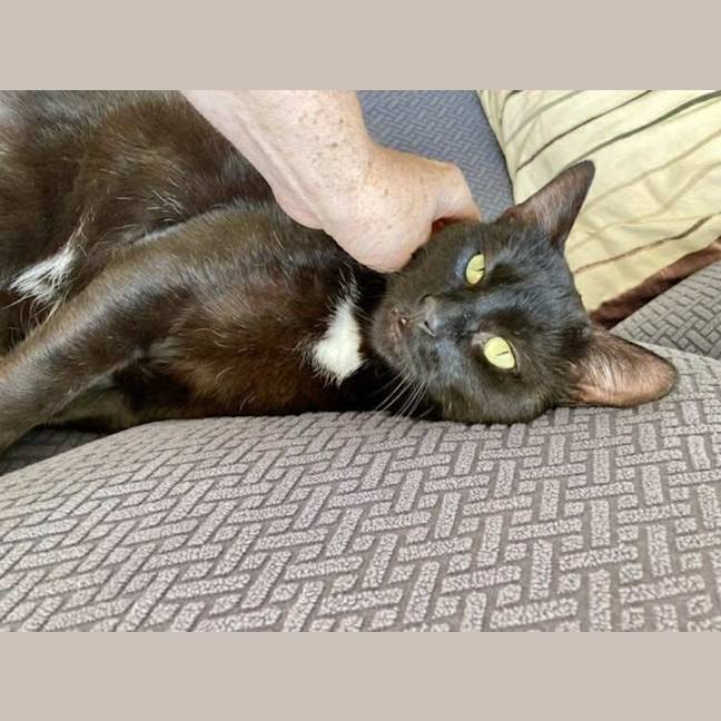 Photo of Butch