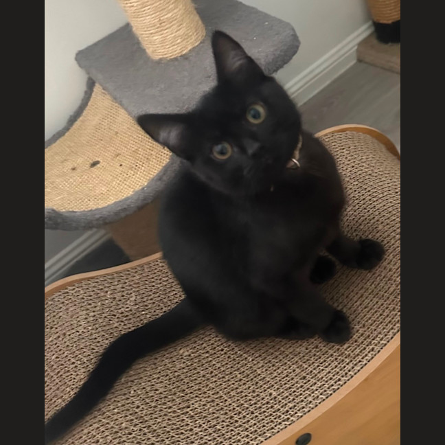 Photo of Freya