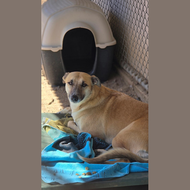 Photo of Zena
