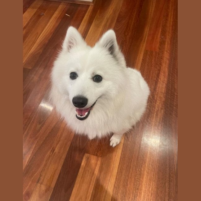Photo of Casper 