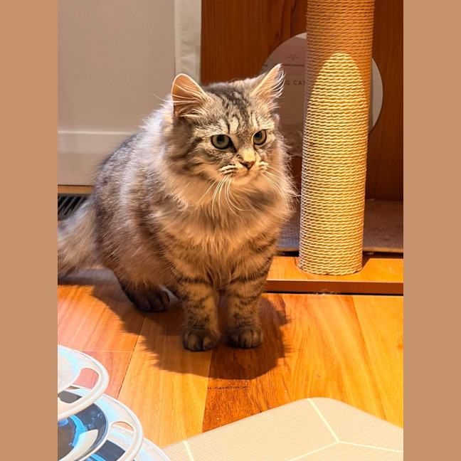 Photo of Charlie