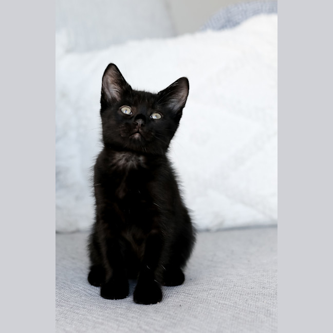 Photo of Wednesday