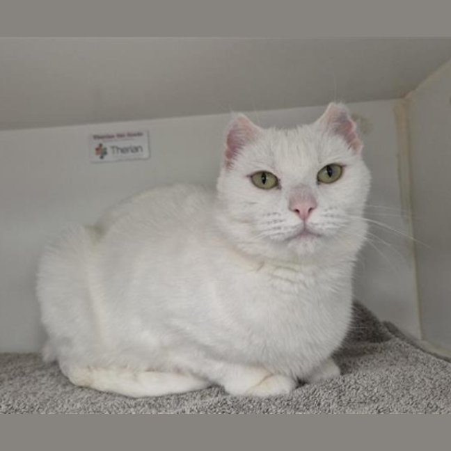 Photo of Maggie