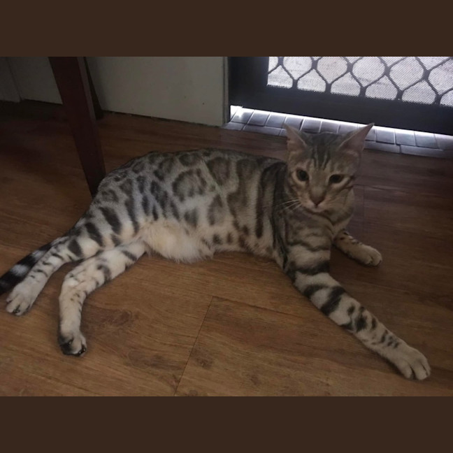 Photo of Marco