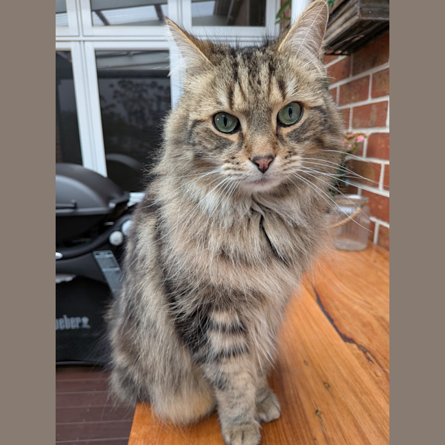 Photo of Jax