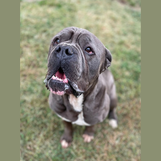 Photo of Cyrus (Billy Ray)