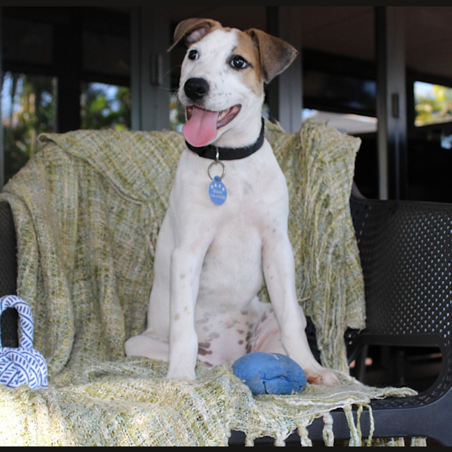 Photo of Evie