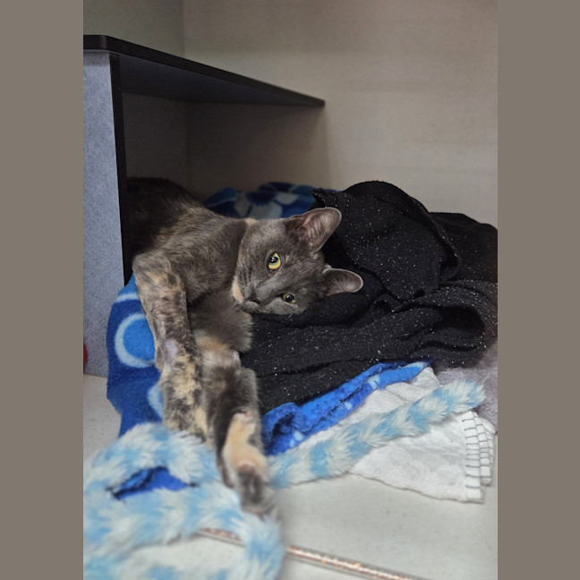 Photo of Maybelle