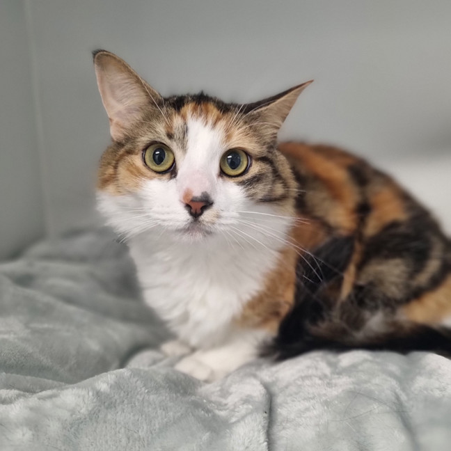 Photo of Kiki