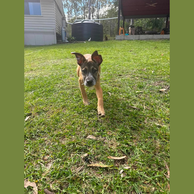 Photo of Ernie