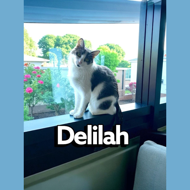 Photo of Delilah