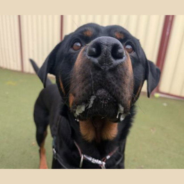 Photo of Axel